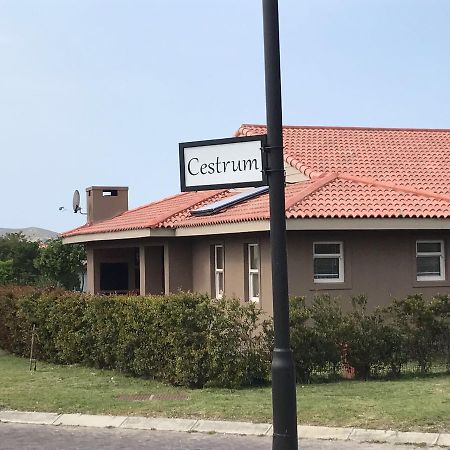 Whale Rock Gardens Plettenberg Bay Exterior foto